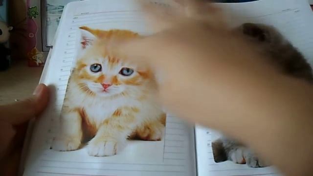 как оформить личный дневник смотреть онлайн