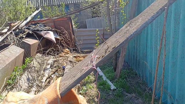 ОГОРОД/ПОСАДИЛА ВСЁ, ЧТО МОЖНО/ЭКСИБИШН/ВСЁ ЦВЕТЁТ И ДАЖЕ ПЕРСИК 🍑 смотреть онлайн