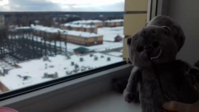 У Басики гости!*это ужас*