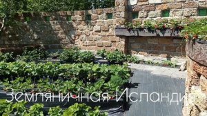 Строим грядки из ящиков, новый объект!!! ( Земляничная И