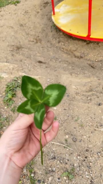 Defing нашёл четырёхлистный клевер🍀 смотреть онлайн