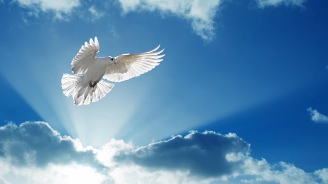 Хор Церкви ХВЕ Пермь - 001 Ты моя сила смотреть онлайн