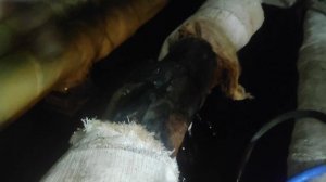 любимая работа ( как заварить трубу с водой)