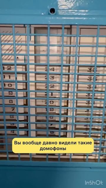 #яндекседа #доставкаеды #доставка #яндексдоставка #янд смотреть онлайн