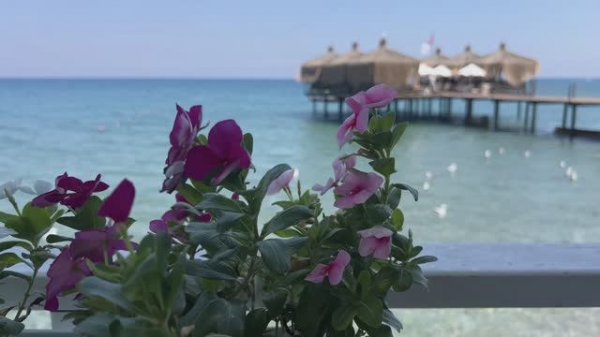 Обзор Crystal flora beach resort 5
Турция, Бельдиби