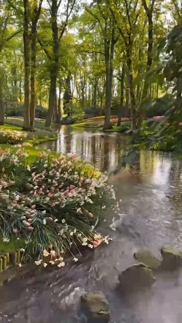 картинка для #медитации на #деньги и #изобилие. #психол? смотреть онлайн