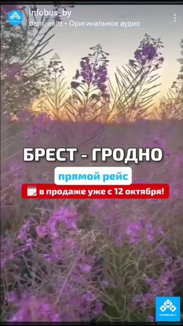 Гродно - Брест - Гродно ежедневные рейсы!!! #infobus#билет #е смотреть онлайн