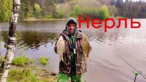 Рыбалка На НЕРЛИ. Поймали ЛЕЩЕЙ, но мало
