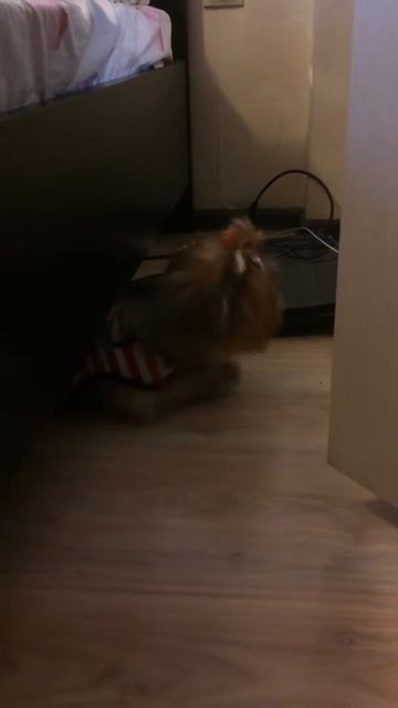 Потому что кто-то много ест