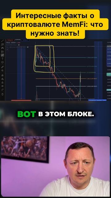 Вы уже в курсе о MemFi? Эти факты вас удивят! смотреть онлайн