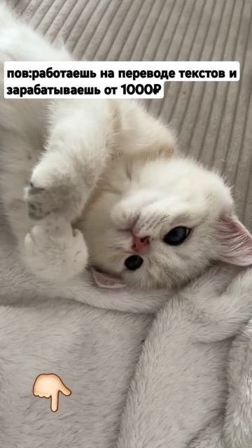 ЗАРАБОТОК НА ПЕРЕВОДЕ ТЕКСТОВ#shortsПо вопррсам писать в смотреть онлайн