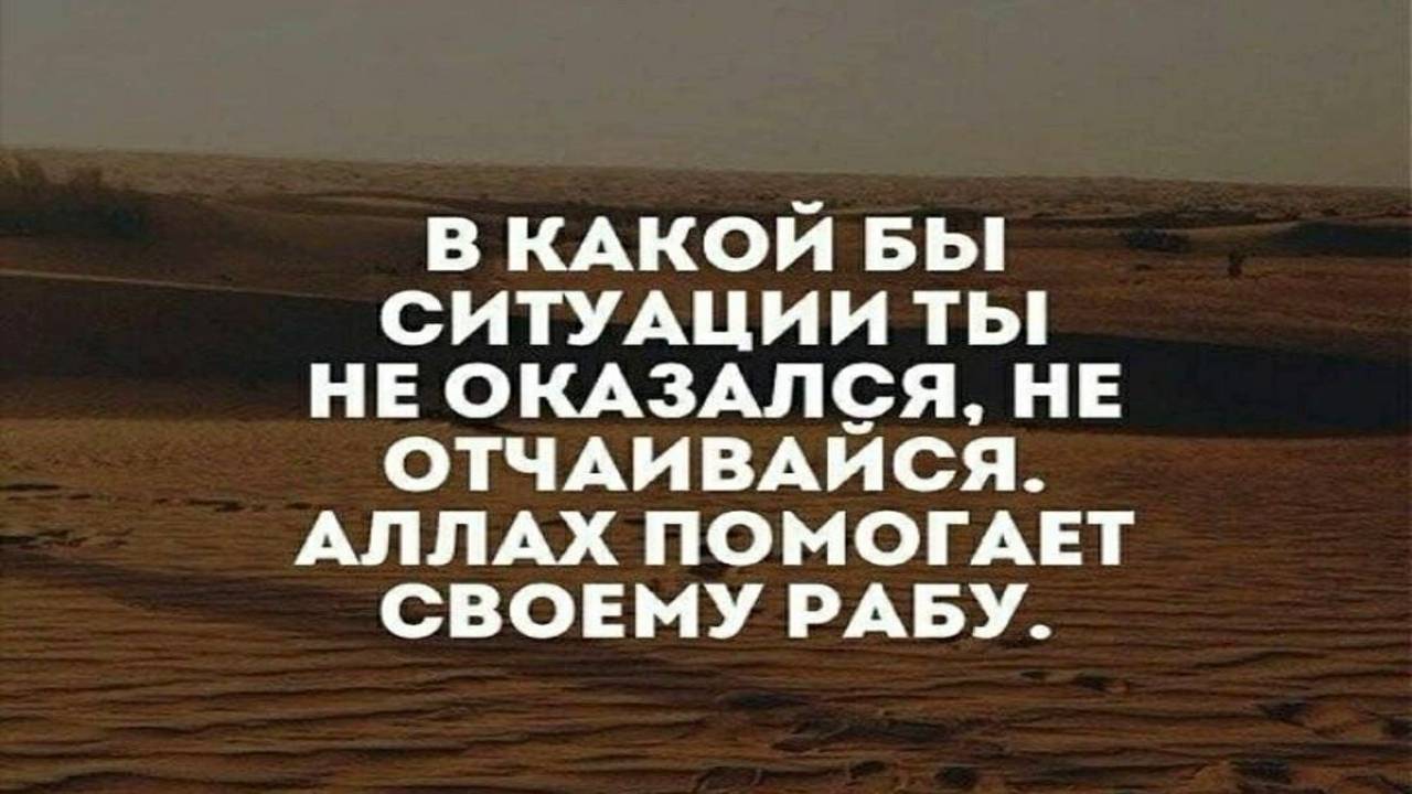 Место всех болезней желудок. смотреть онлайн