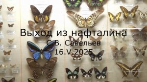 С.В. Савельев - Выход из нафталина
