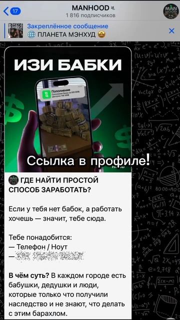 Ссылка в профиле! #темка #темки #лето #заработок #тгк смотреть онлайн