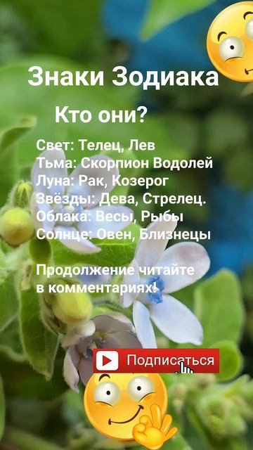 Свет или Тьма или... / Знаки Зодиака Гороскоп Астрологи? смотреть онлайн