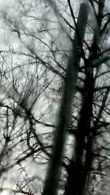 СИП-2 и светильник светодиодный 