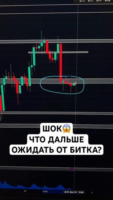 ЖДАТЬ ДАЛЬНЕЙШЕГО ПАДЕНИЯ ИЛИ РОСТА? #трейдинг #биткой смотреть онлайн