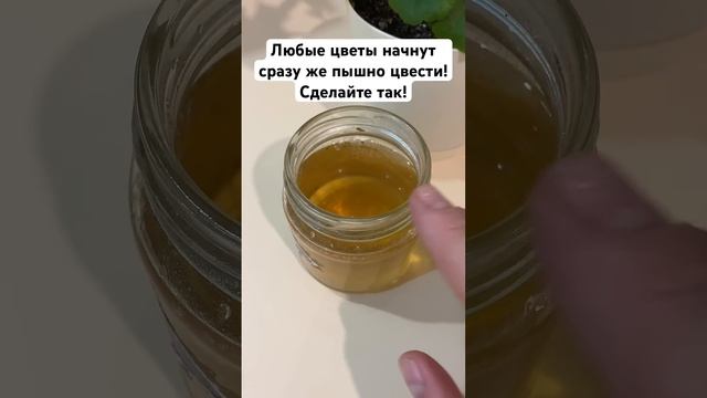 Любые цветы начнут сразу же пышно цвести! Сделайте так смотреть онлайн