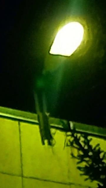 Уличный светильник РКУ-06 (ДРЛ). Ночная версия