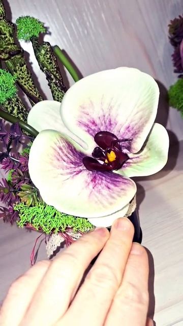 Уникальные композиции: #shots, #орхидея, #декор для дома, #? смотреть онлайн