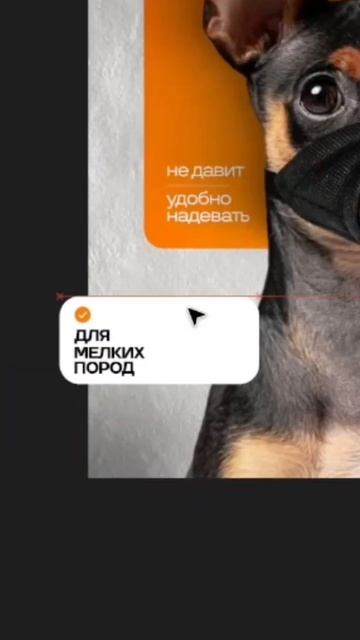 В профиле есть ещё много интересного #инфографика #вай смотреть онлайн