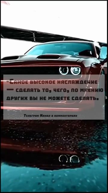 Телеграм канал в комментариях смотреть онлайн