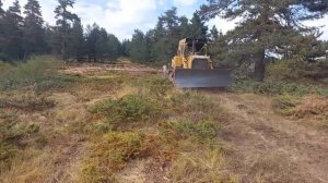 Бульдозер CAT D7 прокладывает дорогу на сложной местности