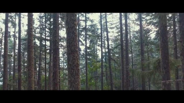 Кинематографическая и эмоциональная фоновая музыка для видео смотреть онлайн
