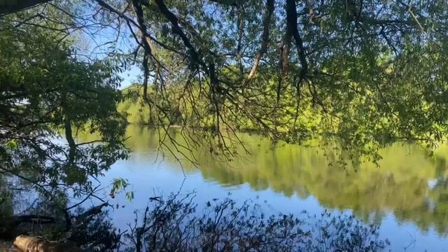 природа смотреть онлайн