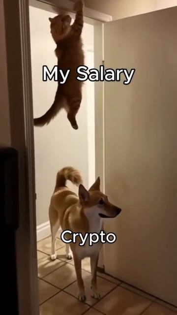 Лучшие новости и сигналы криптовалюты👇🏻 https://t.me/long125 смотреть онлайн