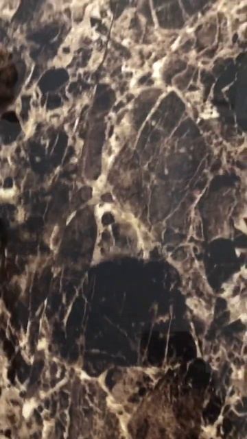 Пробуем Корм который нам дали по акции￼