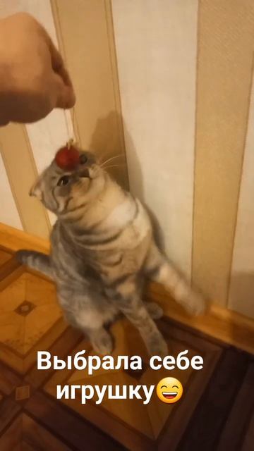 Мята смотреть онлайн