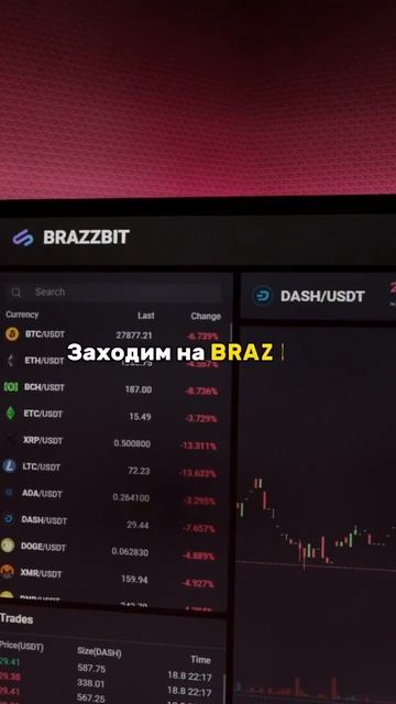 31 августа 2023 г.