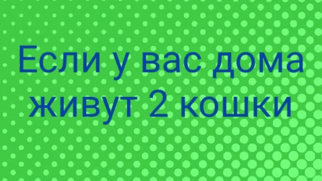 Полезные и прикольные вещи для ваших питомцев смотреть онлайн