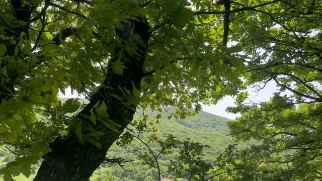 Дагестан , Агачаул