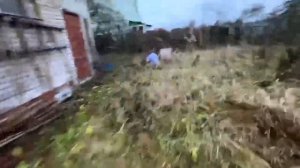 ПРОДА ДЕКСТЕРА! Злой ОТЕЦ ЗАПЕР ДОЧЬ в ПОДВАЛЕ и Держа?