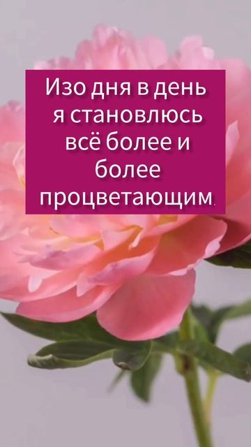 Аффирмации на деньги. #17 Повторяй 30 дней вместе со мной смотреть онлайн