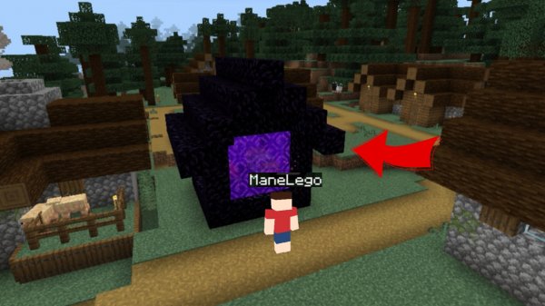 Мой дом стал из порталов в Майнкрафте | ManeLego minecraft