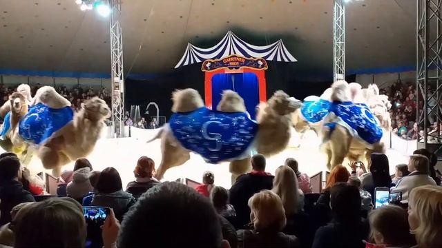 VLOG - наш октябрь 2019 смотреть онлайн