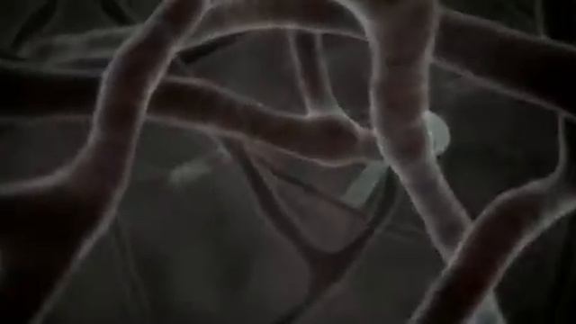 Турбо   Turbo 2013 HD