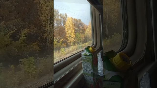 Поездка в Санкт-Петербург. Часть 1. В поезде.