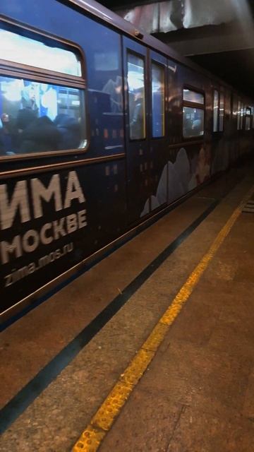 новогодний срусич | #metro #2024shorts #train #2024 #метро #travel #москв