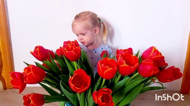 красные тюльпаны 2025г на 8 марта! смотреть онлайн