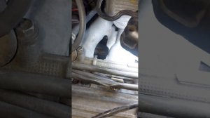 не заводится тойота карина, не горит чек. замкнутый пл?