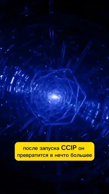 ТОП 5 КРИПТО МОНЕТ ЧТО НАКАПЛИВАЮТ КИТЫ ПРЯМО СЕЙЧАС смотреть онлайн