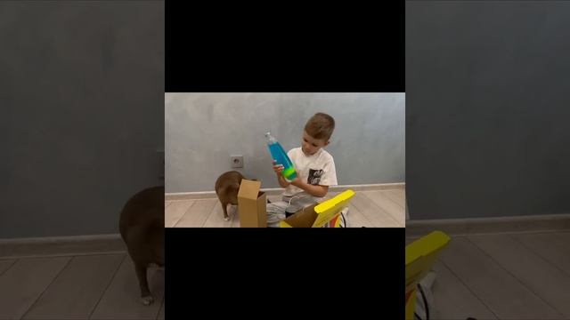 Распаковка лава лампы смотреть онлайн