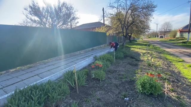 540ч🏡15.04.25-Состояние переезда/Готовлю рассаду/Покраск? смотреть онлайн