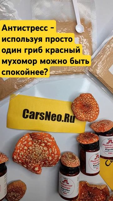 Антистресс - используя просто один гриб красный мухом? смотреть онлайн