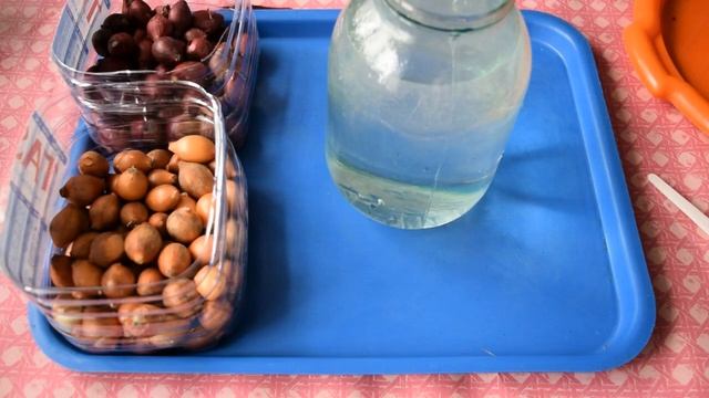 Обработка лука севка от болезней перед посадкой весной