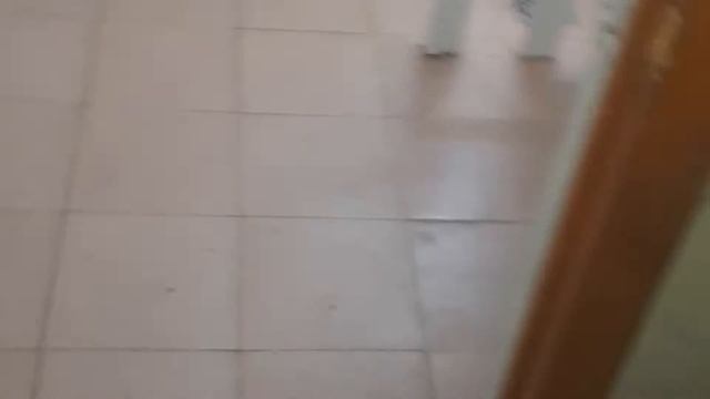 Стенания отчаяния смотреть онлайн